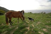 Enlarge photo 57