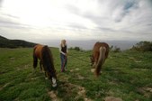 Enlarge photo 58