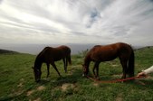 Enlarge photo 59