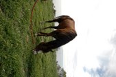 Enlarge photo 66