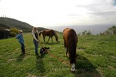 Enlarge photo 67