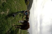 Enlarge photo 71