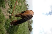 Enlarge photo 72