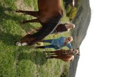 Enlarge photo 105