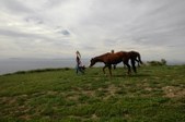Enlarge photo 107