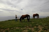 Enlarge photo 108