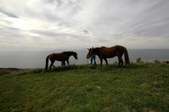 Enlarge photo 110