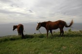Enlarge photo 115