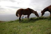 Enlarge photo 125