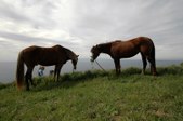 Enlarge photo 128