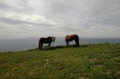Enlarge photo 141