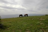 Enlarge photo 142