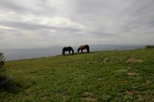 Enlarge photo 143