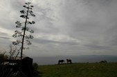 Enlarge photo 144