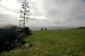 Enlarge photo 145