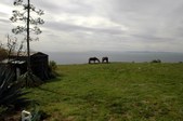 Enlarge photo 146