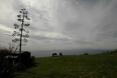 Enlarge photo 147