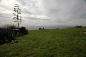 Enlarge photo 148