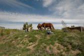 Enlarge photo 149