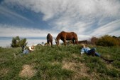 Enlarge photo 156