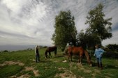 Enlarge photo 201
