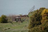 Enlarge photo 207