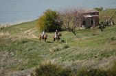Enlarge photo 210