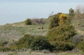 Enlarge photo 213