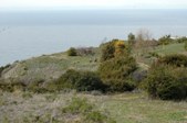 Enlarge photo 214