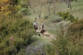 Enlarge photo 215