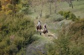 Enlarge photo 216