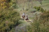 Enlarge photo 217