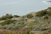 Enlarge photo 219