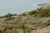 Enlarge photo 220