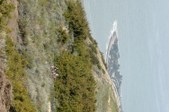 Enlarge photo 222