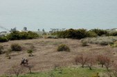 Enlarge photo 225