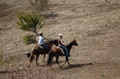 Enlarge photo 226