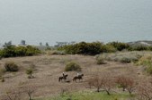 Enlarge photo 234