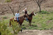 Enlarge photo 240