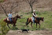 Enlarge photo 310
