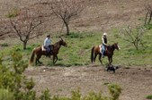 Enlarge photo 311