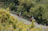 Enlarge photo 249