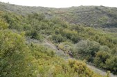 Enlarge photo 319