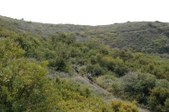 Enlarge photo 320
