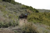 Enlarge photo 323