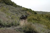 Enlarge photo 255