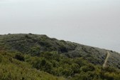 Enlarge photo 325