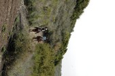 Enlarge photo 328