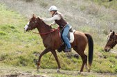 Enlarge photo 331