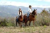 Enlarge photo 338